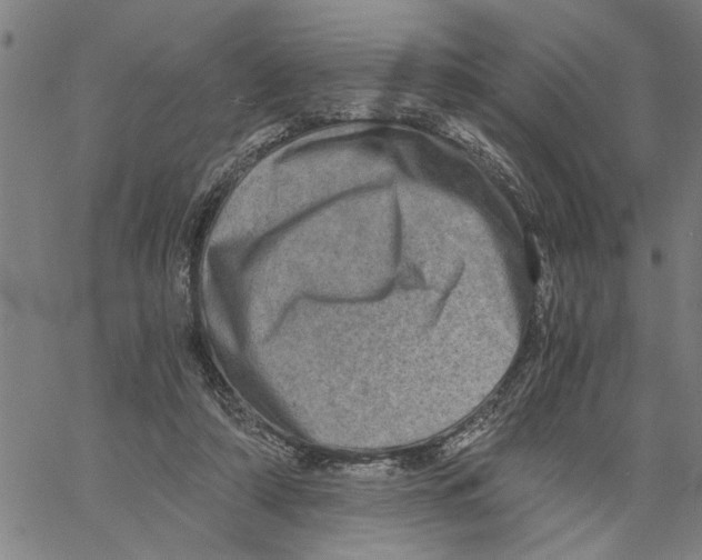 X0000061140306200512161537