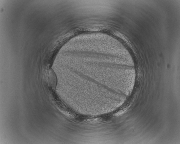 X0000061140307200512161537