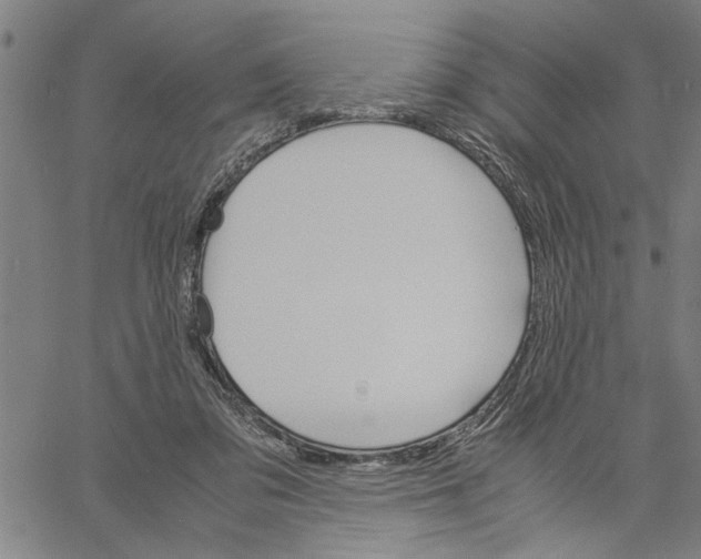 X0000061140309200512161537