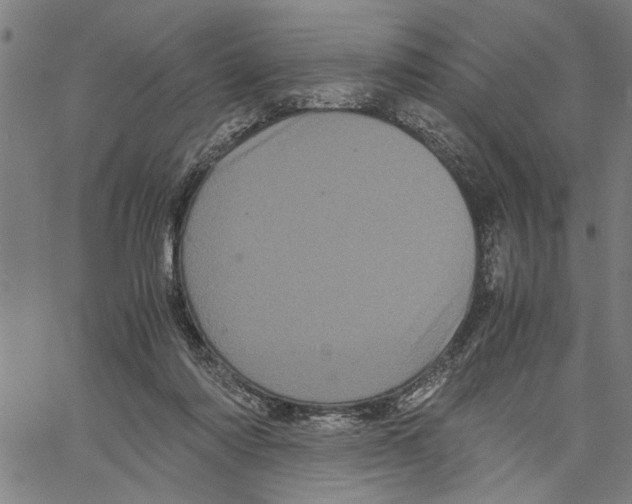 X0000061140310200512161537