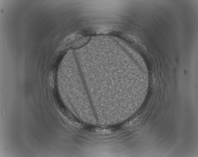 X0000061140311200512161537