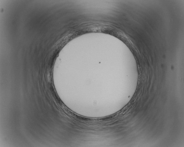 X0000061140313200512161537