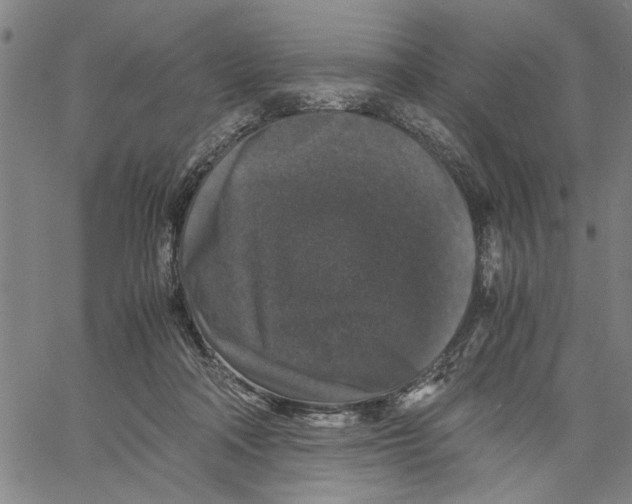 X0000061140314200512161537