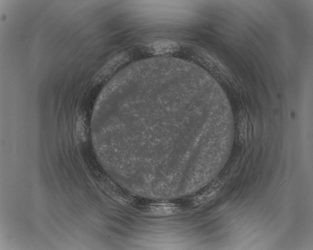 X0000061140316200512161536