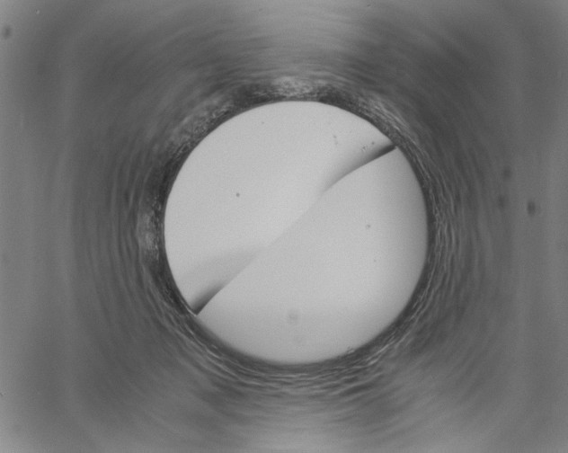 X0000061140317200512161536