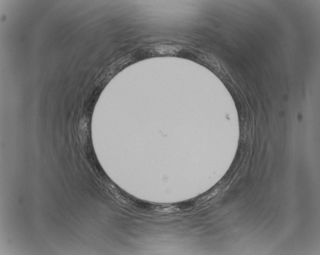 X0000061140321200512161536