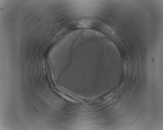 X0000061140322200512161536