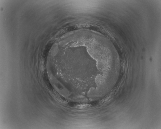 X0000061140323200512161536