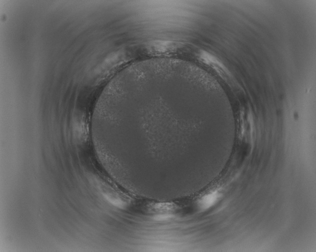 X0000061140324200512161536