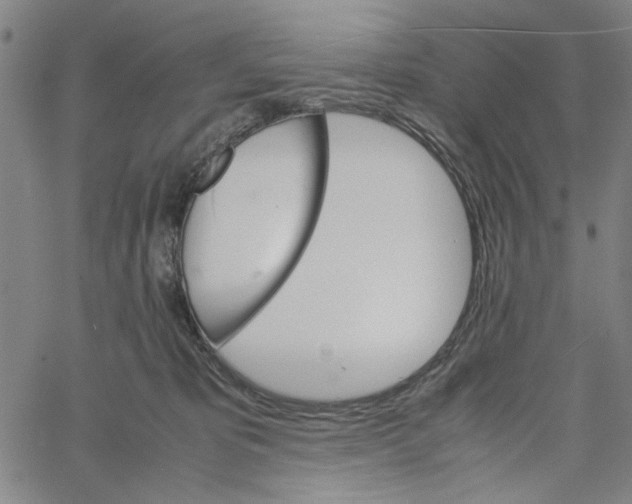 X0000061140325200512161536