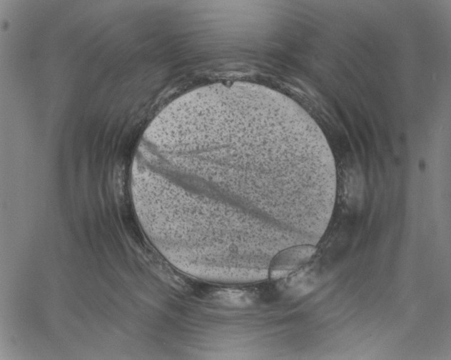 X0000061140326200512161536