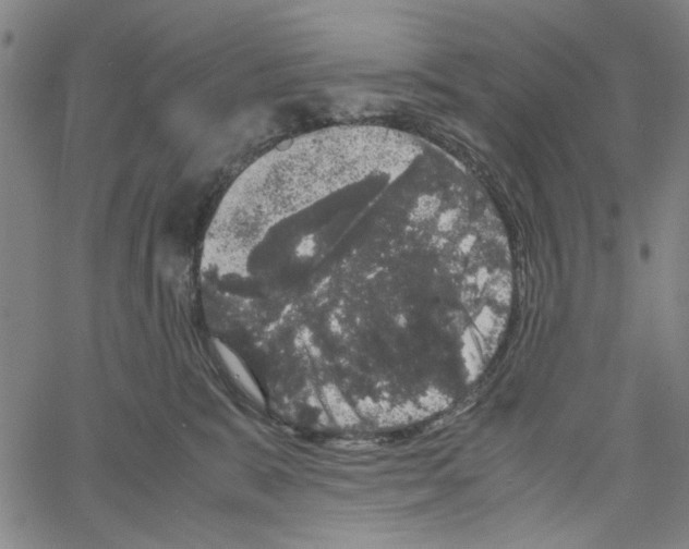 X0000061140327200512161536