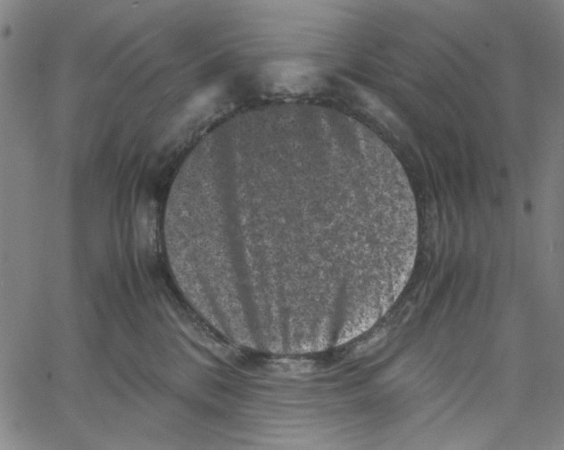 X0000061140328200512161536