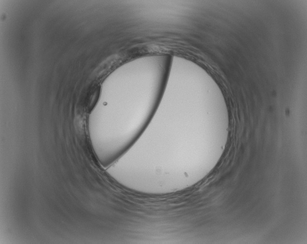 X0000061140329200512161536