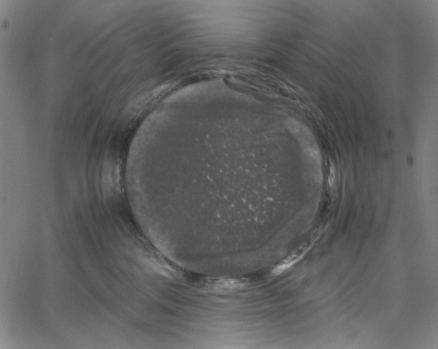 X0000061140330200512161536