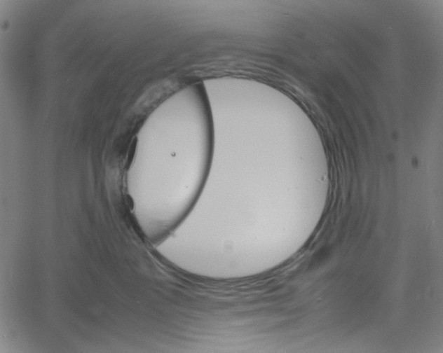 X0000061140333200512161536