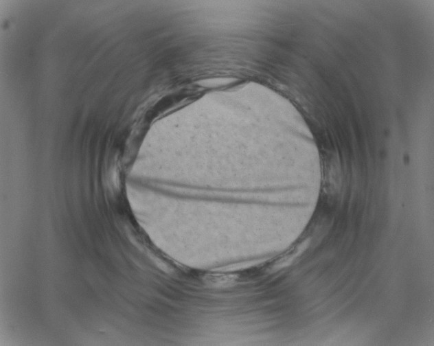 X0000061140334200512161536