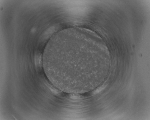 X0000061140336200512161536