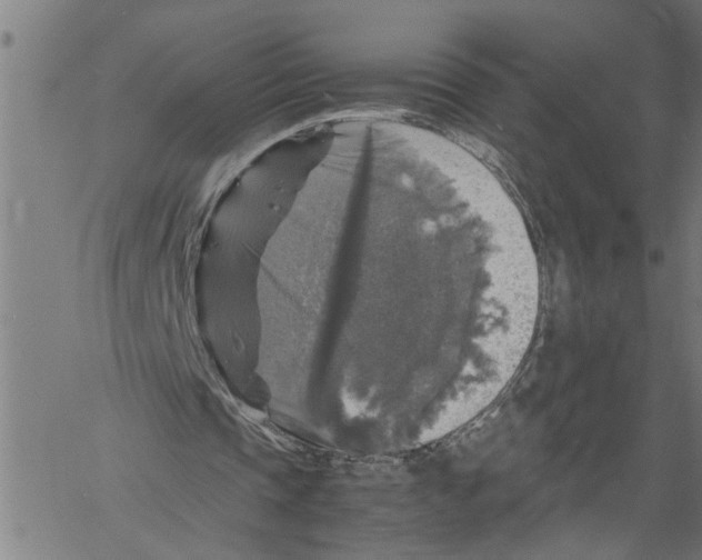 X0000061140337200512161535