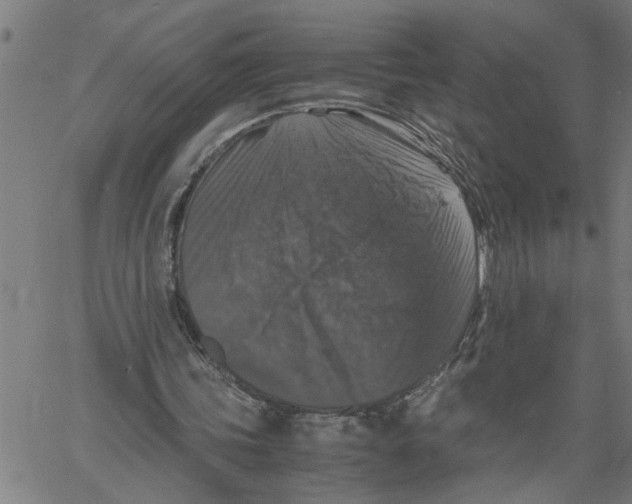 X0000061140339200512161535