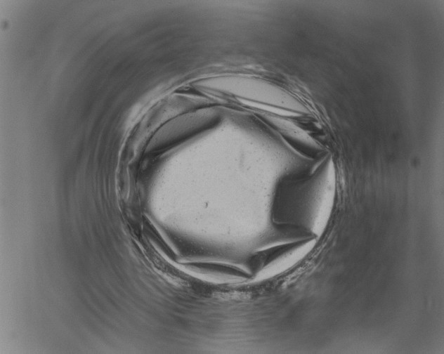 X0000061140340200512161535