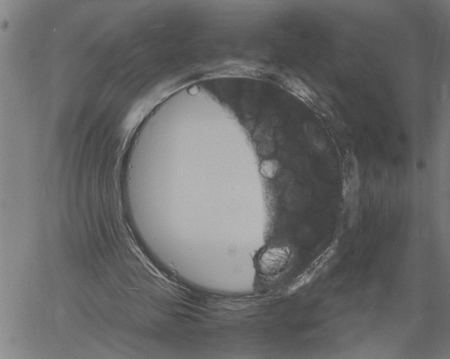 X0000061140341200512161535