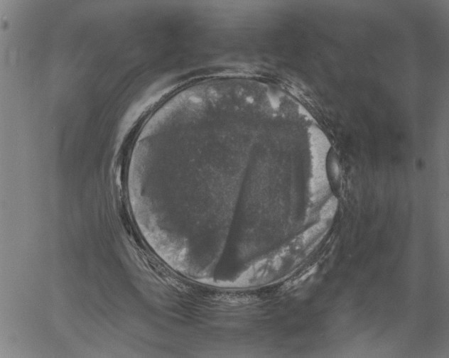 X0000061140343200512161535