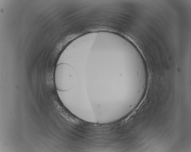 X0000061140345200512161536