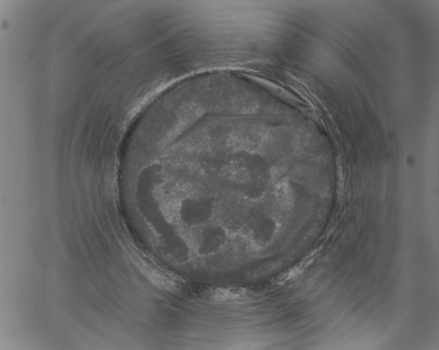 X0000061140346200512161536