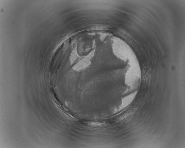 X0000061140347200512161536