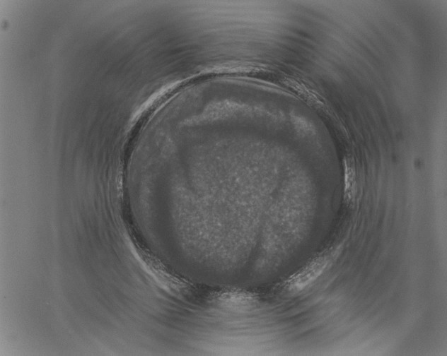 X0000061140348200512161536