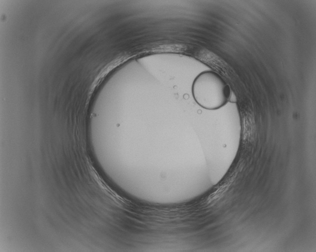 X0000061140349200512161536