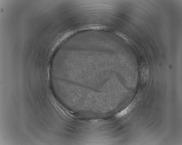 X0000061140350200512161536