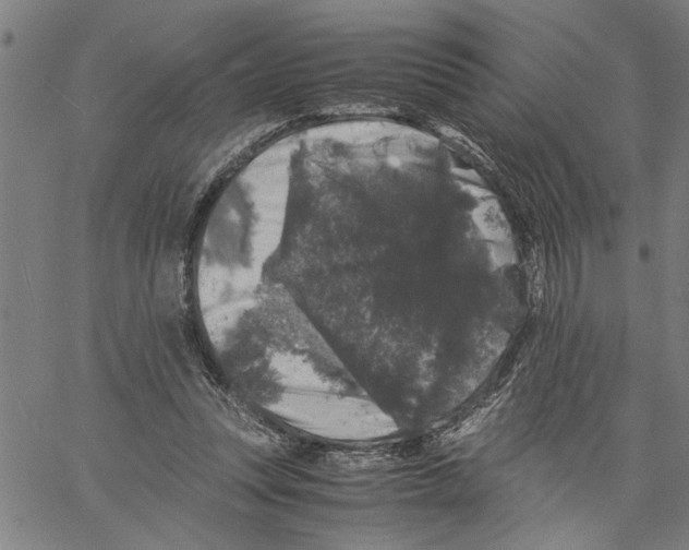 X0000061140351200512161536