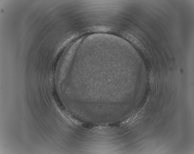 X0000061140352200512161536