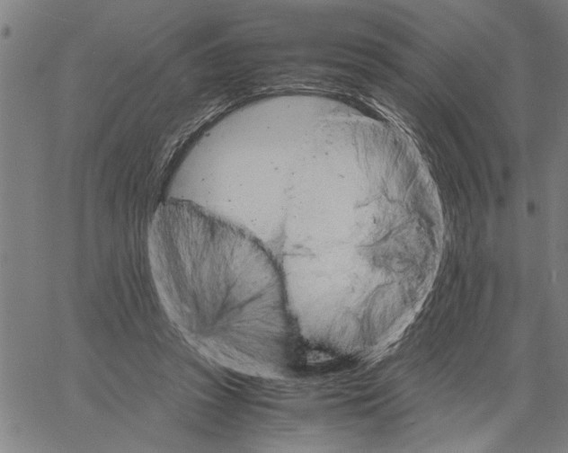 X0000061140353200512161536