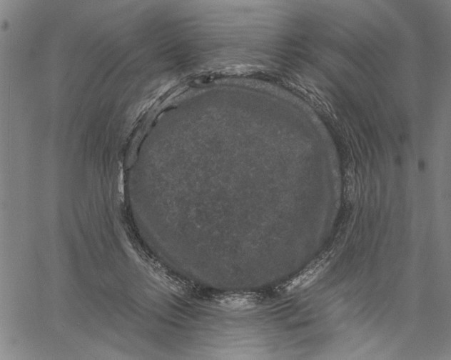 X0000061140358200512161536