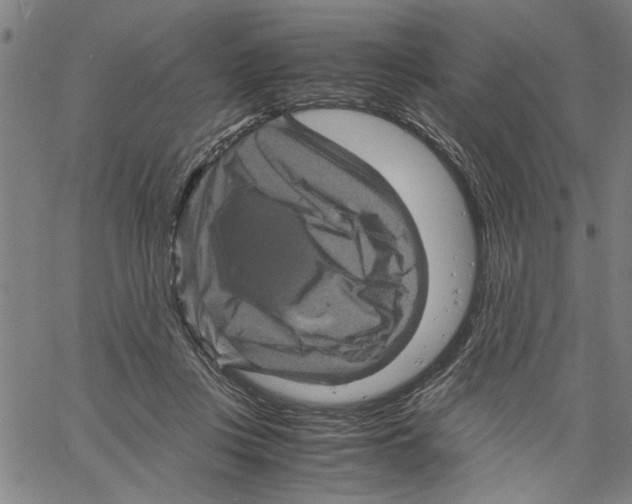 X0000061140359200512161536