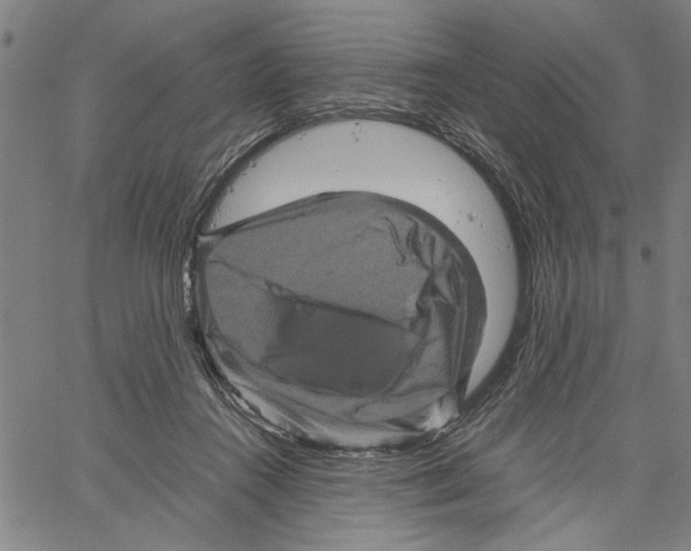 X0000061140360200512161536