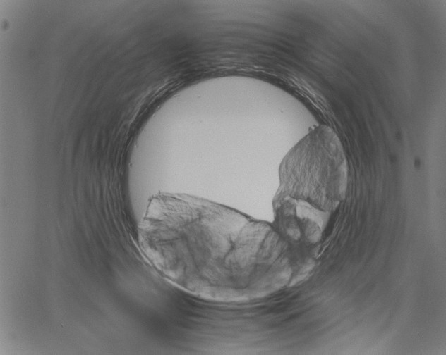 X0000061140361200512161536