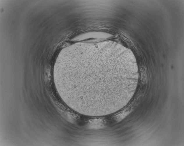 X0000061140362200512161536