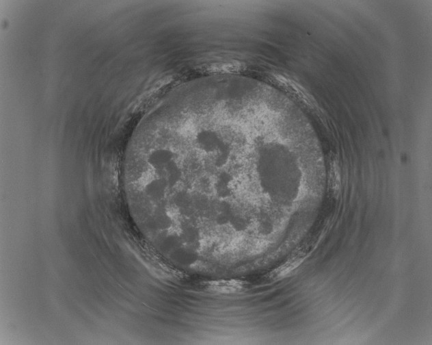 X0000061140363200512161536