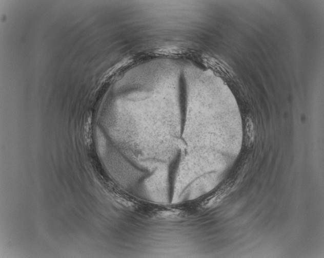 X0000061140364200512161536