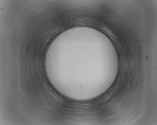 X0000061140365200512161536