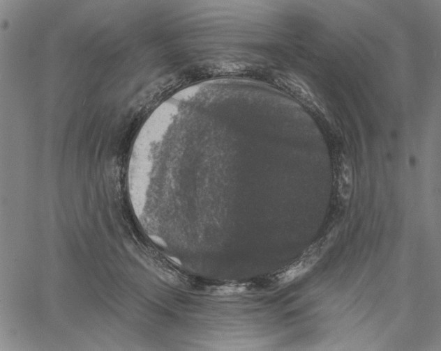 X0000061140366200512161536