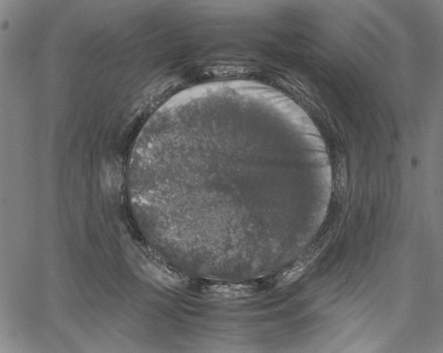 X0000061140367200512161536