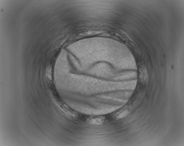 X0000061140368200512161536