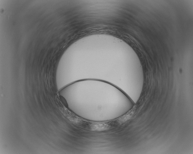 X0000061140372200512161536