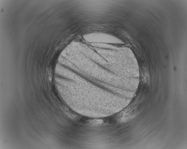 X0000061140374200512161536