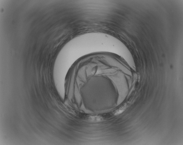 X0000061140376200512161536